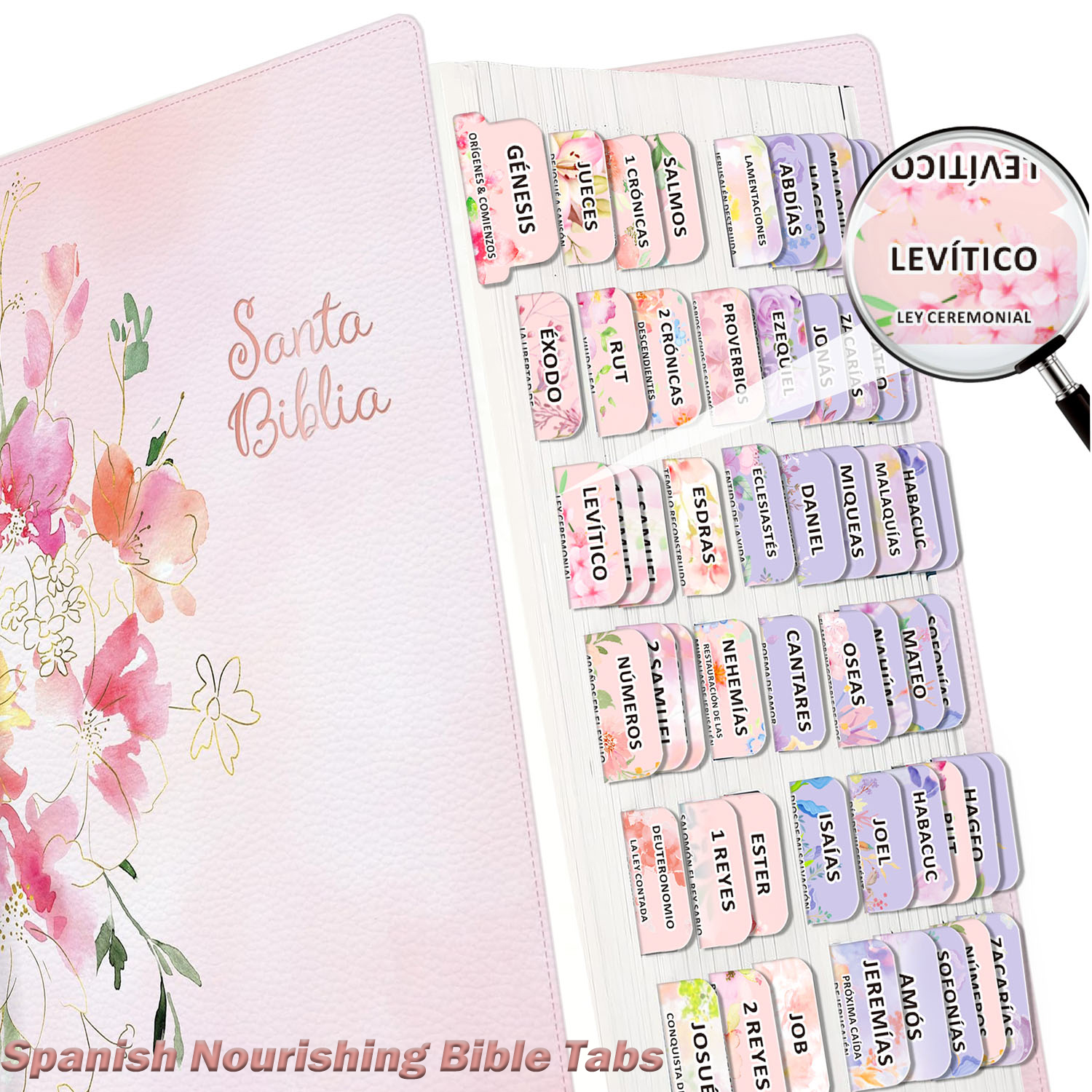 Index Tab Divider - 80pcs Spanish Bible Tabs-Soul Nourishing Book